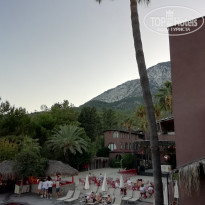 фото из отзыва ID 2729256