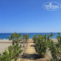 фото из отзыва ID 2729255