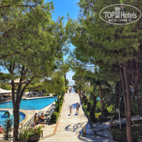 фото из отзыва ID 2729255