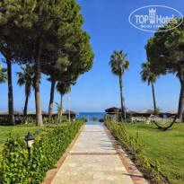 фото из отзыва ID 2729255