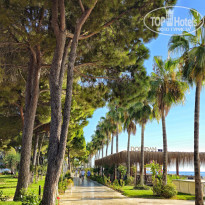 фото из отзыва ID 2729255