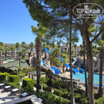 фото из отзыва ID 2729255