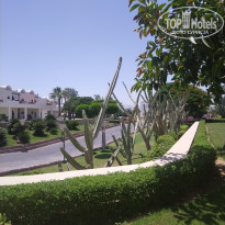 фото из отзыва ID 2729257