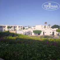 фото из отзыва ID 2729257