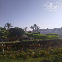 фото из отзыва ID 2729257