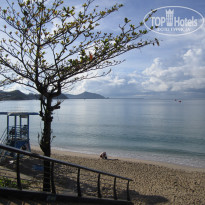 фото из отзыва ID 2729272