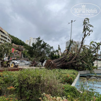 фото из отзыва ID 2729272