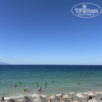 фото из отзыва ID 2729275