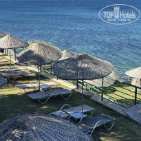 фото из отзыва ID 2729275