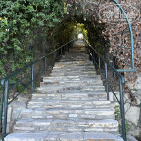 фото из отзыва ID 2729275