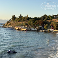 фото из отзыва ID 2729275