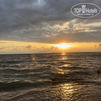 фото из отзыва ID 2729298