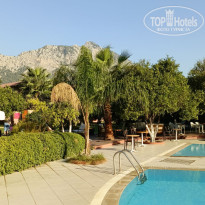 фото из отзыва ID 2729318