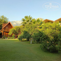 фото из отзыва ID 2729318