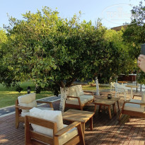 фото из отзыва ID 2729318