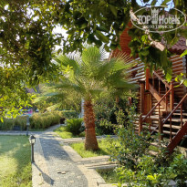 фото из отзыва ID 2729318