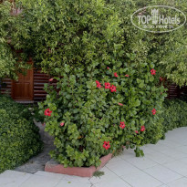 фото из отзыва ID 2729318