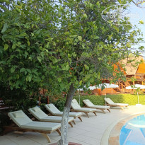 фото из отзыва ID 2729318