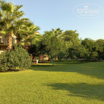 фото из отзыва ID 2729318