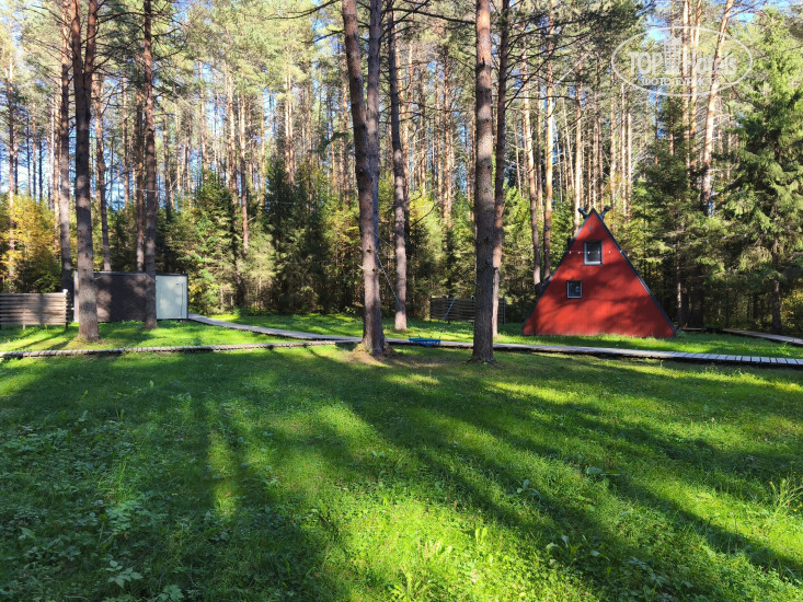 Hotel photo Глэмпинг Тишина 