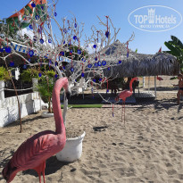 фото из отзыва ID 2729323