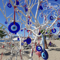 фото из отзыва ID 2729323