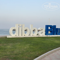 фото из отзыва ID 2729322