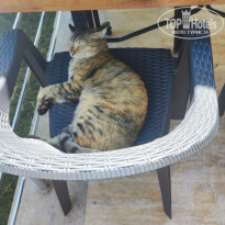 фото из отзыва ID 2729334