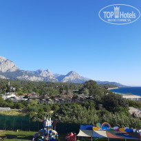 фото из отзыва ID 2729335