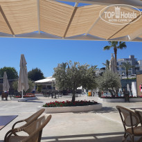 фото из отзыва ID 2729335