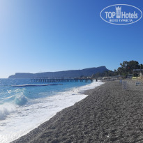 фото из отзыва ID 2729335