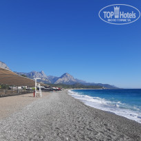 фото из отзыва ID 2729335