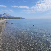 фото из отзыва ID 2729335