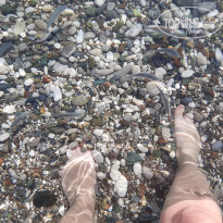 фото из отзыва ID 2729335