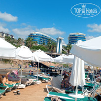 фото из отзыва ID 2729325