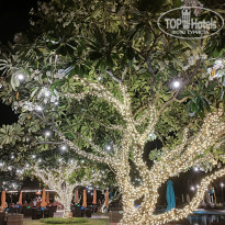 фото из отзыва ID 2729349