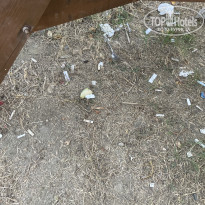 фото из отзыва ID 2728002