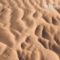 фото из отзыва ID 2729364