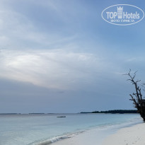 фото из отзыва ID 2729371