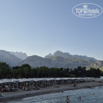 фото из отзыва ID 2729370