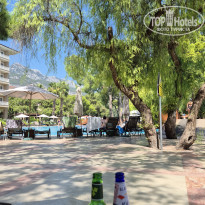 фото из отзыва ID 2729370