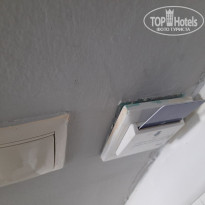 фото из отзыва ID 2729377