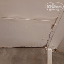 фото из отзыва ID 2729377