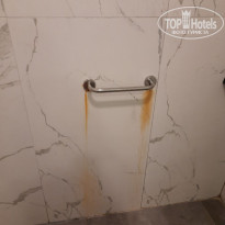 фото из отзыва ID 2729377