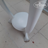 фото из отзыва ID 2729377