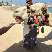 фото из отзыва ID 2729382