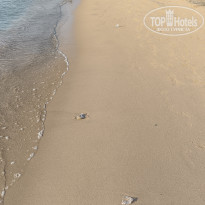 фото из отзыва ID 2729391