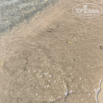 фото из отзыва ID 2729391