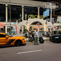 фото из отзыва ID 2729395