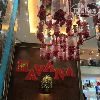 фото из отзыва ID 2729456